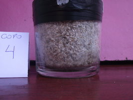 DSCF4333.JPG
