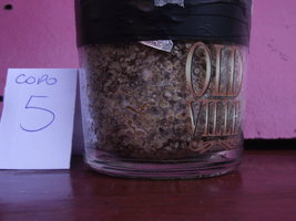 DSCF4335.JPG