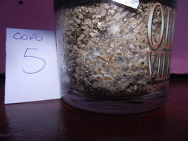 DSCF4337.JPG