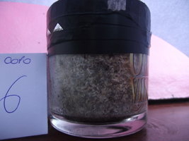 DSCF4343.JPG