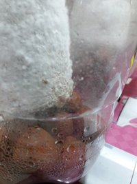 terrário A - pinagem.jpg