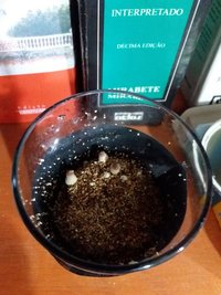 In Vitro.jpg