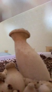 IMG_20160529_142527581.jpg