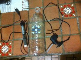 IMG_4387.JPG