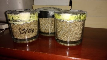 IMG_20160619_183418149.jpg