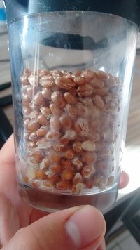 IMG_20160620_074339923.jpg