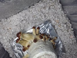 20160620_233649.jpg