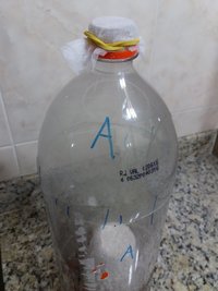 Terrário A 1.jpg