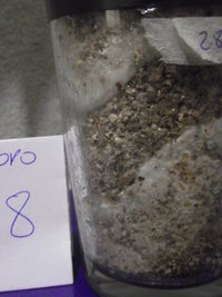DSCF4571.JPG