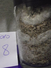 DSCF4572.JPG