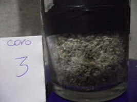 DSCF4574.JPG