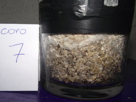 DSCF4582.JPG