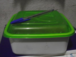 DSCF4585.JPG