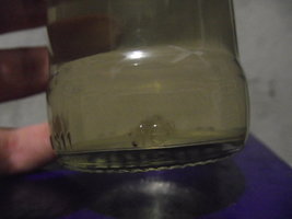 DSCF4587.JPG