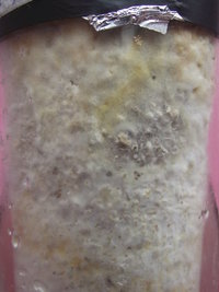DSCF4592.JPG