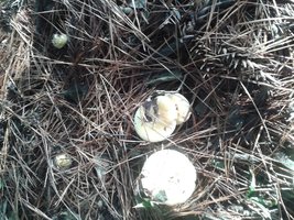 20160623_160656.jpg