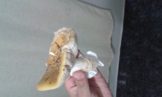 IMG-20160623-WA0056.jpeg