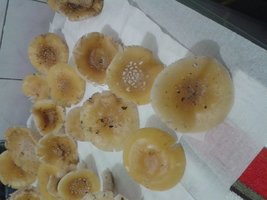 20160623_194219.jpg