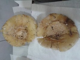 20160623_195436.jpg