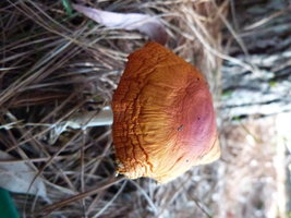 P1090587.JPG