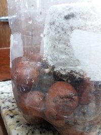 20160628_160821.jpg