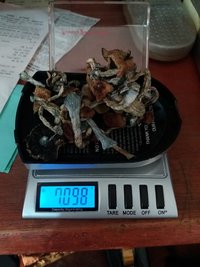 20160628_155157.jpg