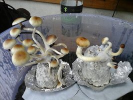 20160630_102854.jpg