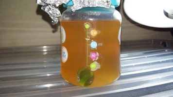 20160701_171337.jpg