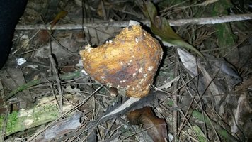 IMG-20160703-WA0006.jpg