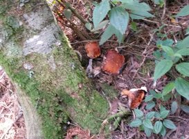 IMG-20160703-WA0010.jpg