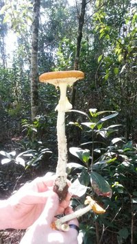 IMG-20160703-WA0004.jpg