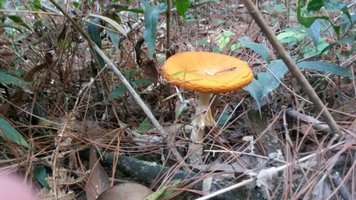 IMG-20160703-WA0005.jpg