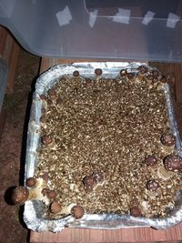 20160703_063443.jpg