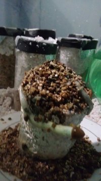 IMG_20160708_013730140.jpg