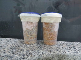 Contam.JPG