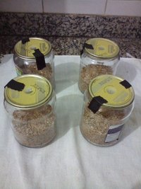 00 - preparo do substrato 1.jpg
