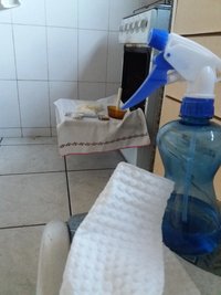 01 - inoculação - preparação 2.jpg