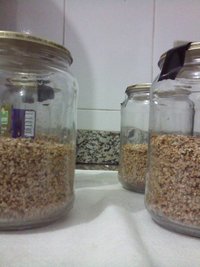 00 - preparo do substrato 2.jpg