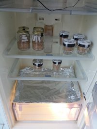 03 - inoculação - potes inoculados 3.jpg