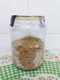 04 - inicio da colonização pote 2.jpg