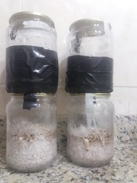 06a - retirados da incubadora.jpg