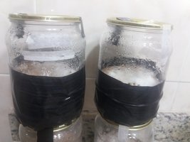 06c - os dois escurecidos do lado.jpg