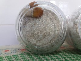 01a - potes sem escurecimento - fruto pra baixo.jpg