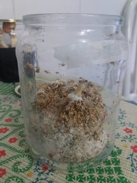 03b - pote 1.jpg