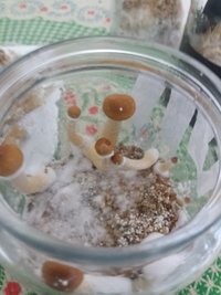 04a - pote 4.jpg
