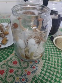 04b - pote 4.jpg