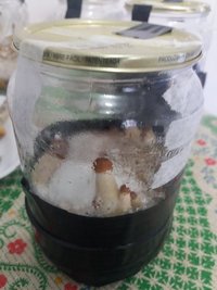 06 - pote 3.jpg