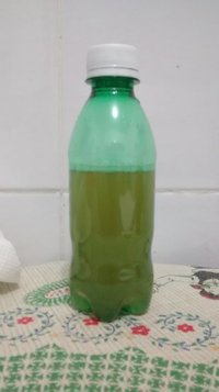 08 - chá pronto.jpg