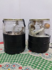 01 - potes 2 e 3.jpg