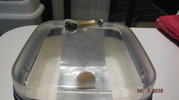 DSCF2548.JPG